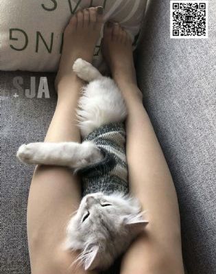 成人性生交大片免费看中文视频_BD免费观看